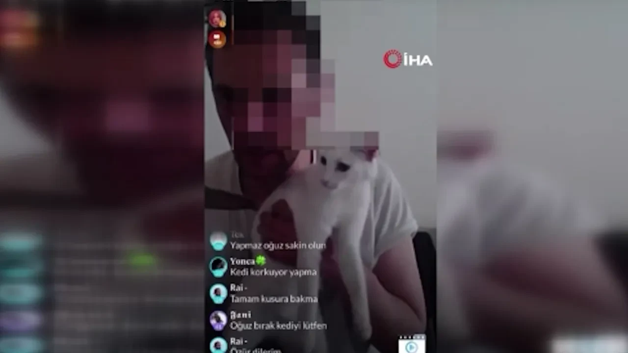 Canlı yayında kediye işkence! 