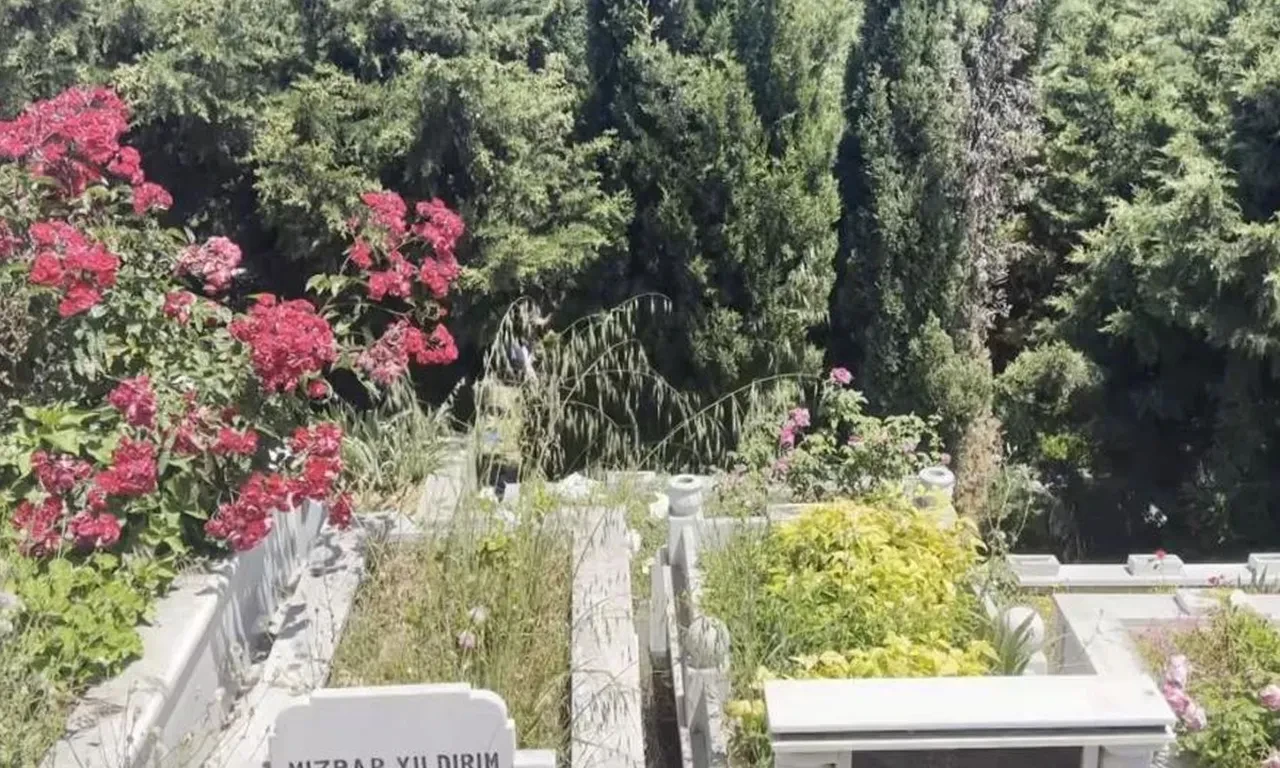 İstanbul'da korkunç olay! Kanlar içinde bebek cesedi bulundu