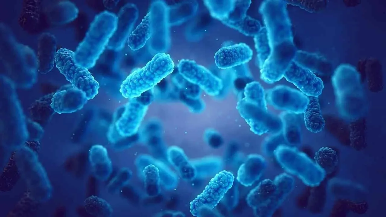 30 yıl sonra bir ilk! 4.9 milyon insanın ölümüne neden olan enfeksiyona çare bulundu