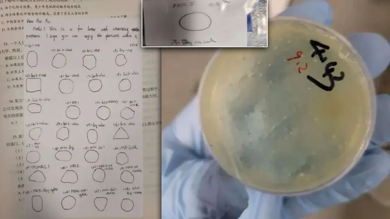 Covid-19'un çıkış noktasından ABD'ye kaçak gizli biyolojik materyal! Çinli bilim insanı tutuklandı