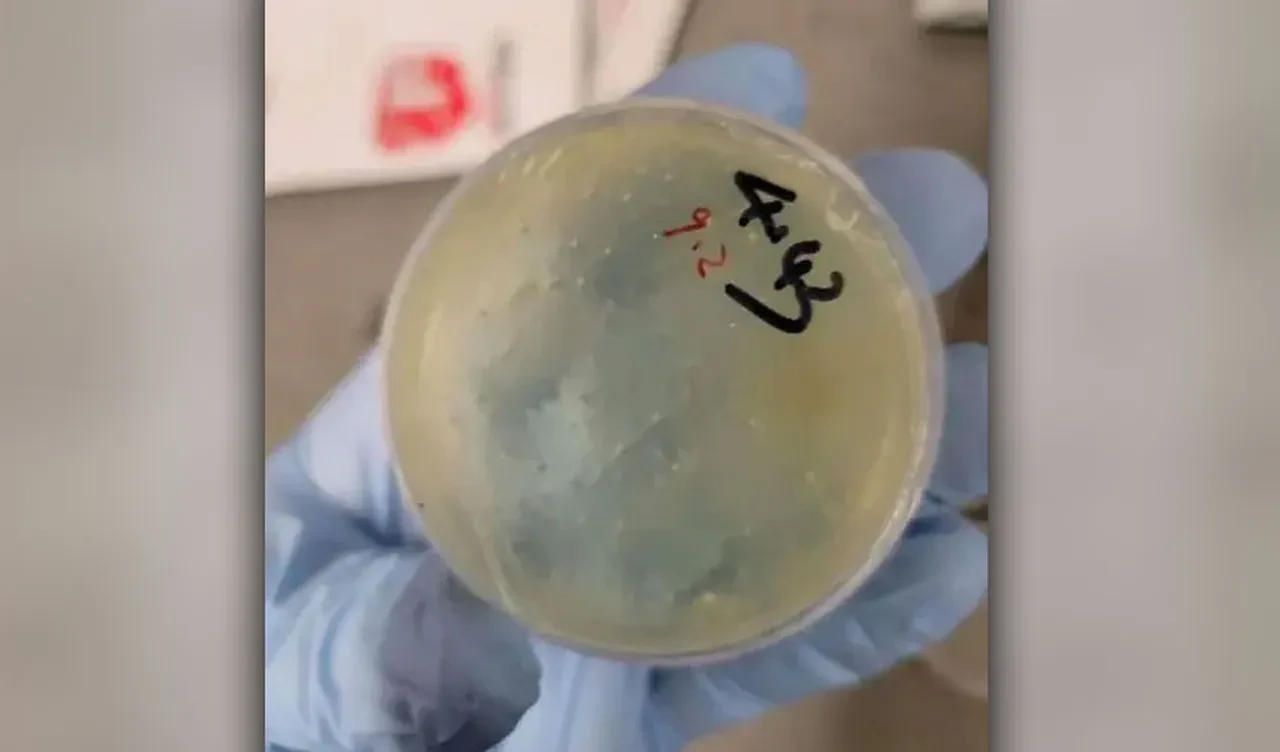 Covid-19'un çıkış noktasından ABD'ye kaçak gizli biyolojik materyal! Çinli bilim insanı tutuklandı