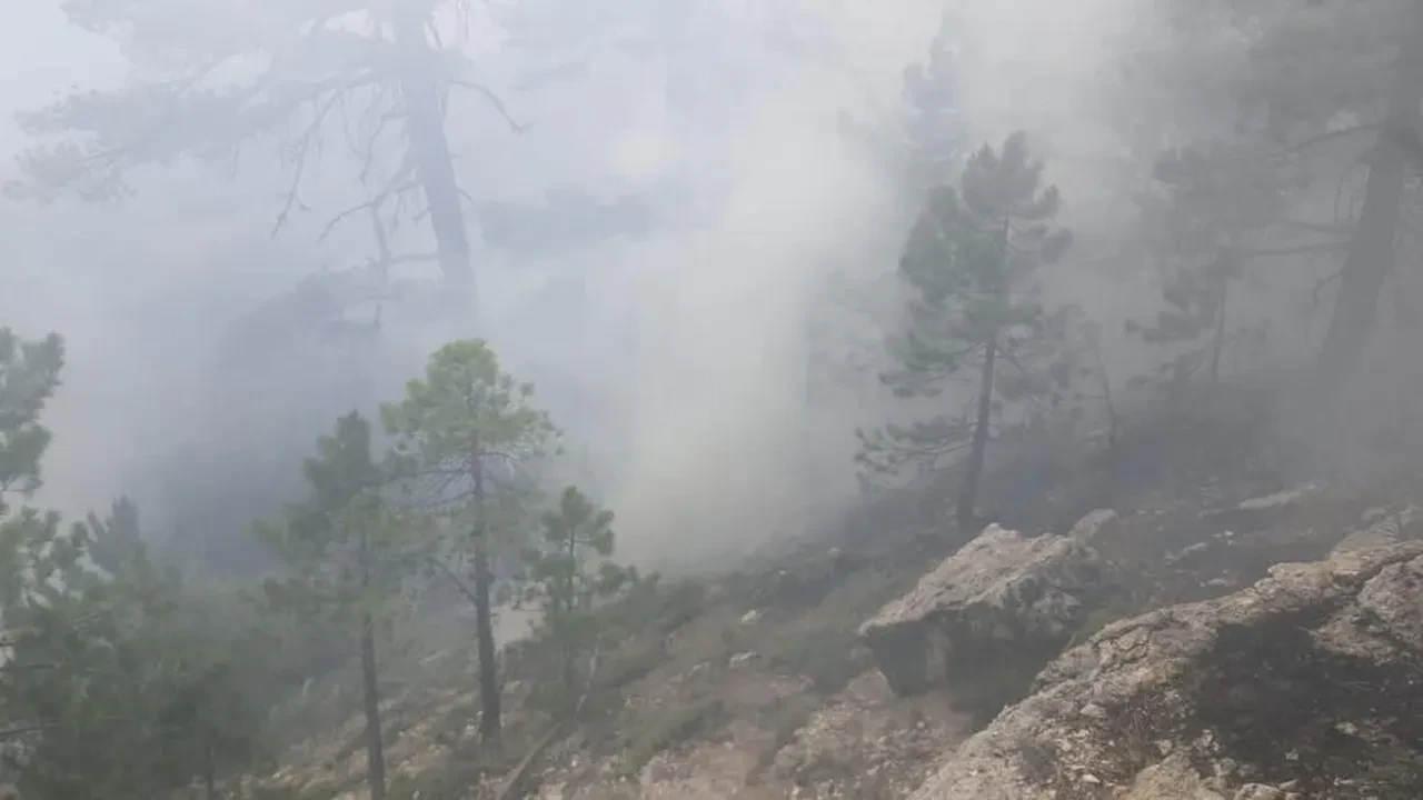 Denizli'de orman yangını! Ekipler seferber oldu
