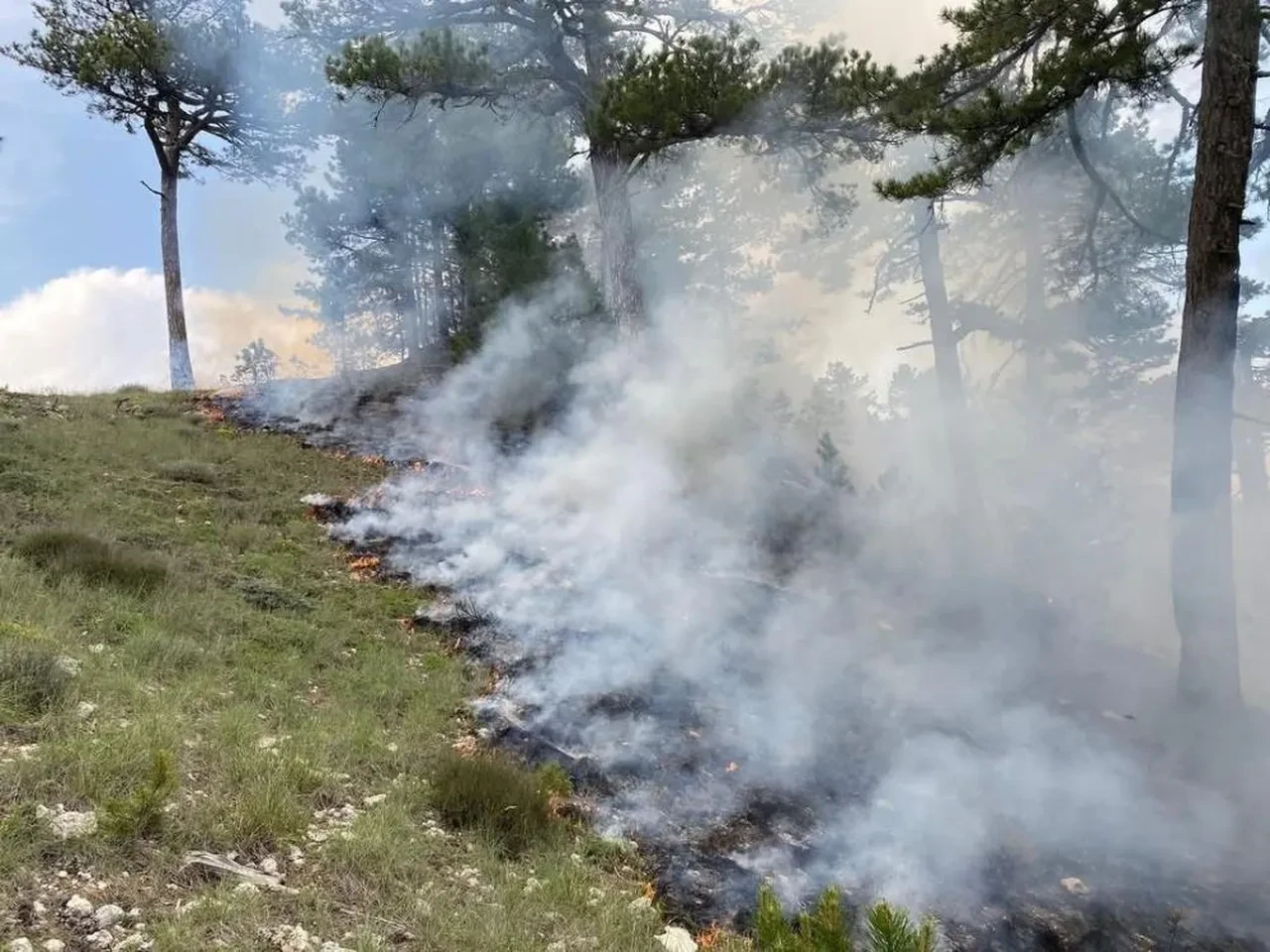 Denizli'de orman yangını! Ekipler seferber oldu