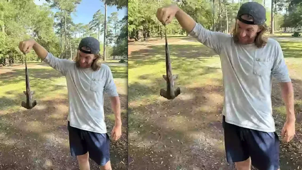 Gökten çekiç başlı köpek balığı düştü! Golf sahasında şoke eden olay