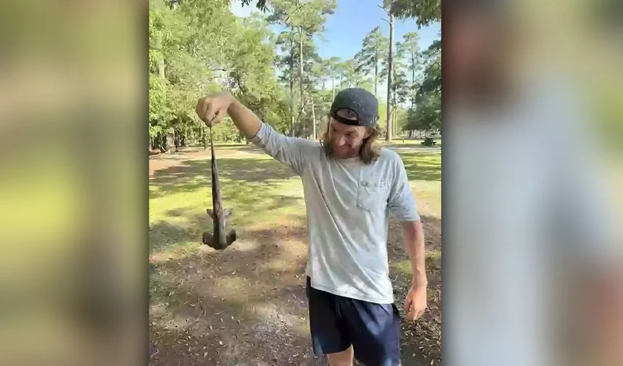 Gökten çekiç başlı köpek balığı düştü! Golf sahasında şoke eden olay