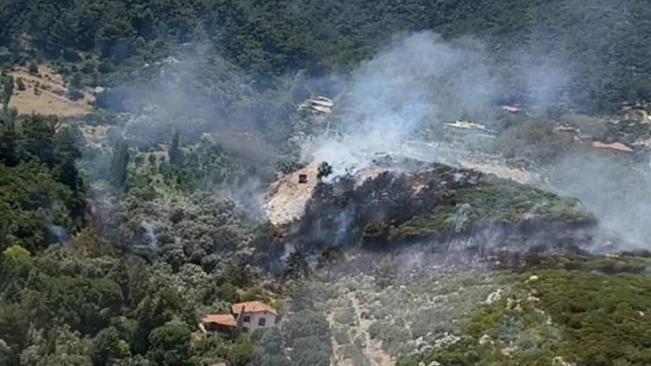 İzmir'de orman yangını! Müdahale sürüyor