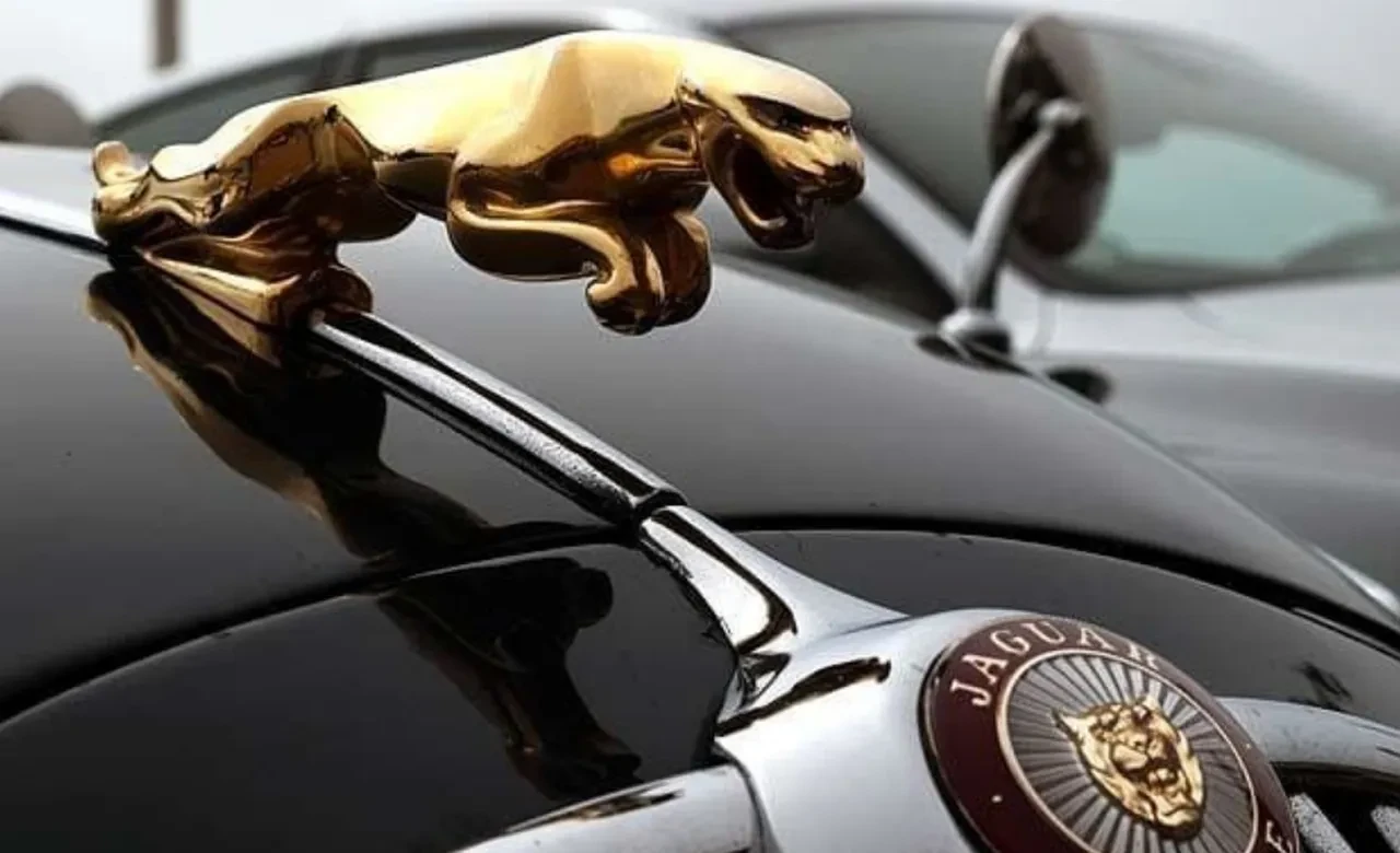 Jaguar bir model hariç tüm üretimini durdurdu! Kararın arkasında pembe imaj sorunu var