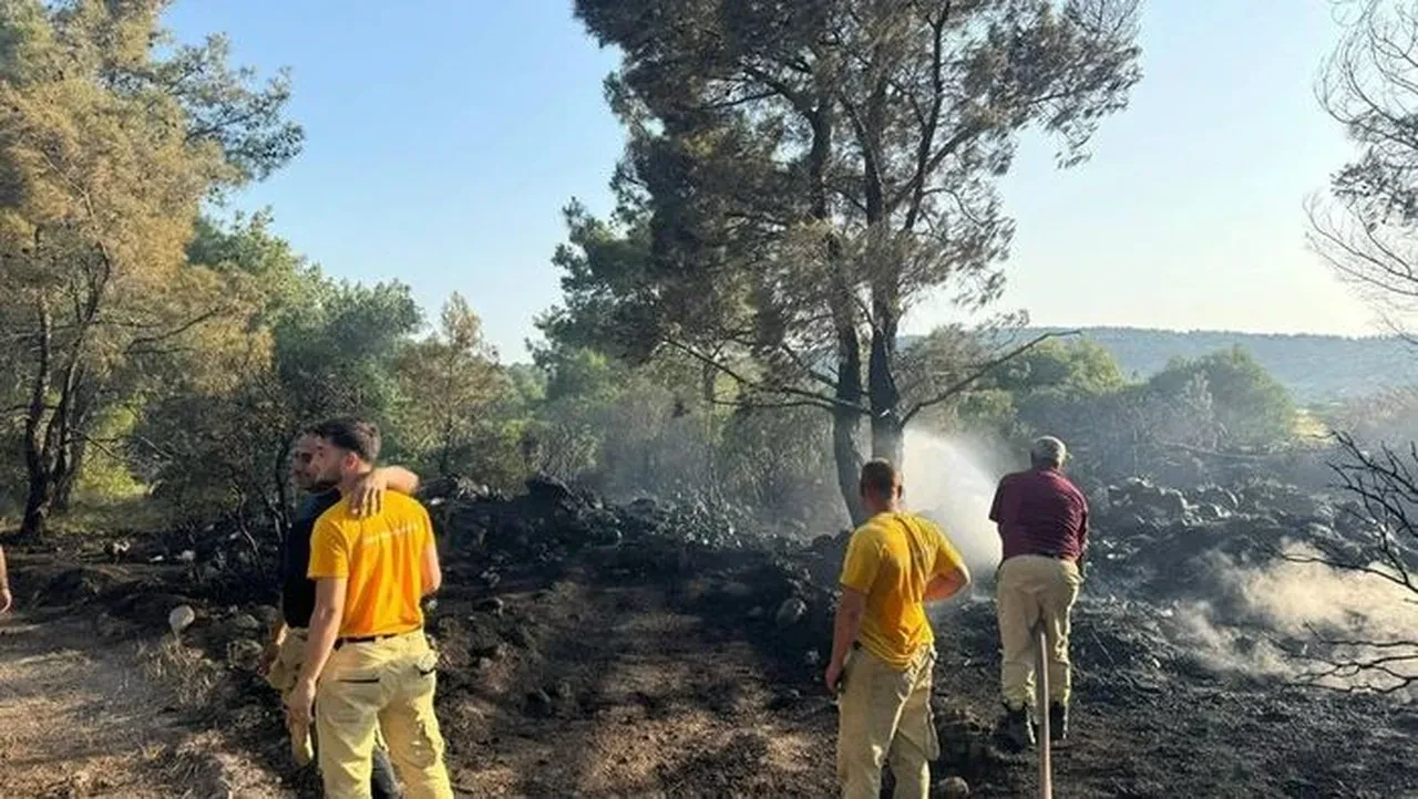 Mangal keyfi cezaevinde bitti! 2 dönüm arazi küle döndü