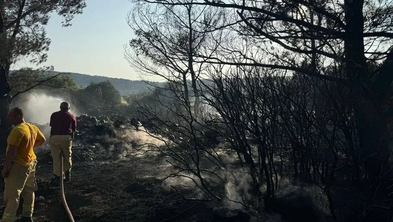 Mangal keyfi cezaevinde bitti! 2 dönüm arazi küle döndü
