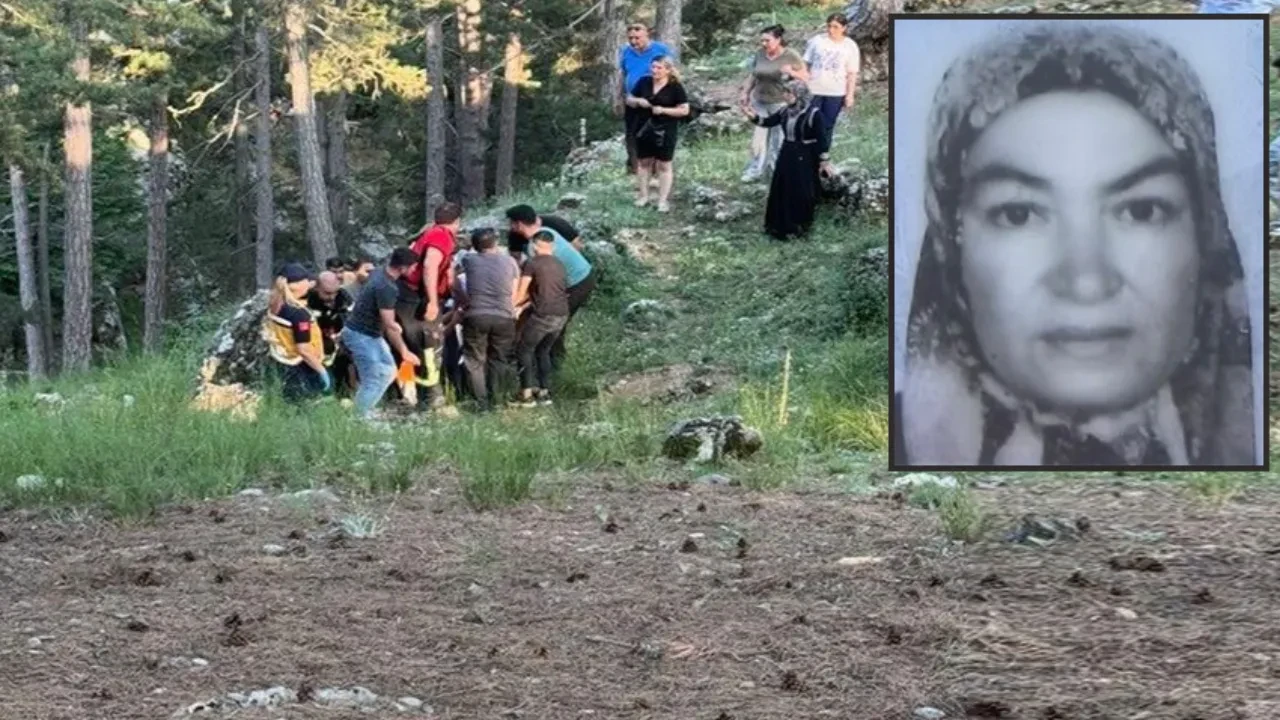 Piknikte feci olay! Kekik toplamaya giden kadın kabusu yaşadı