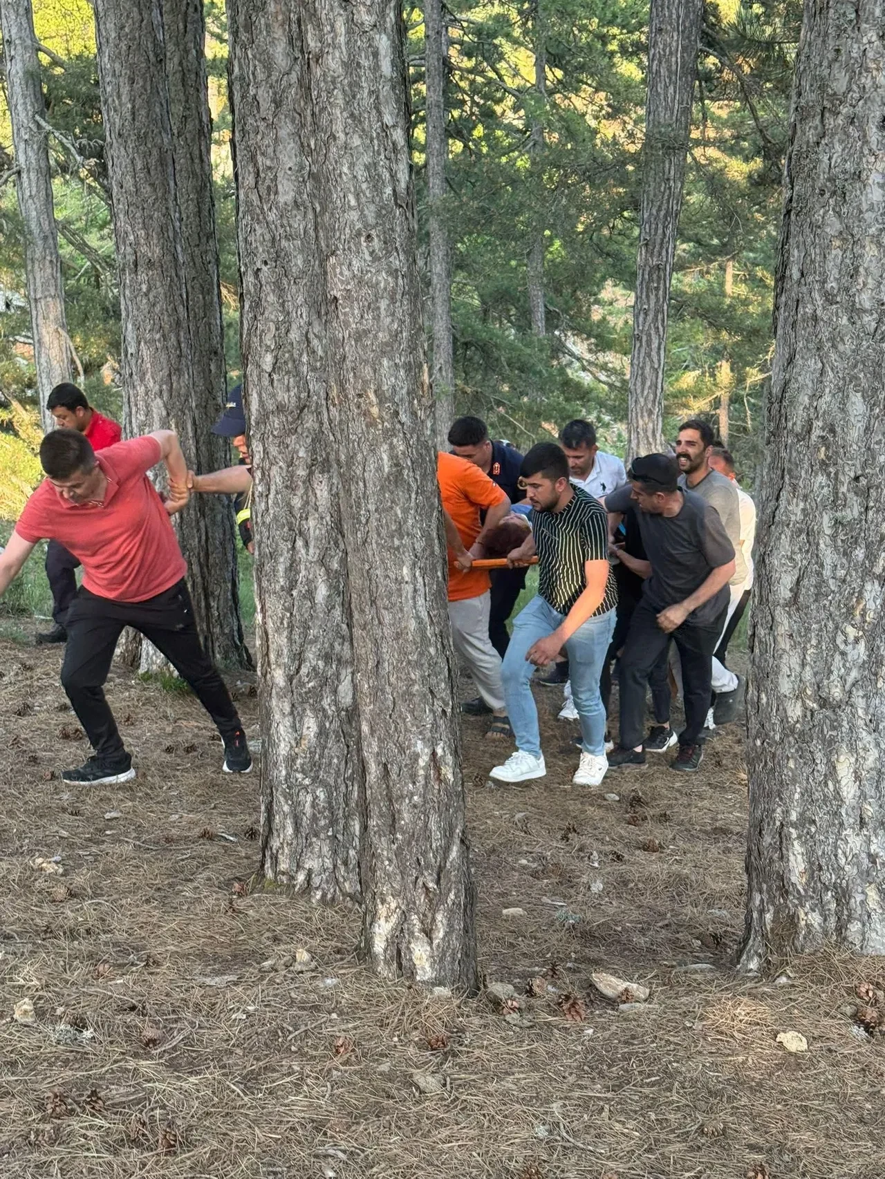 Piknikte feci olay! Kekik toplamaya giden kadın kabusu yaşadı