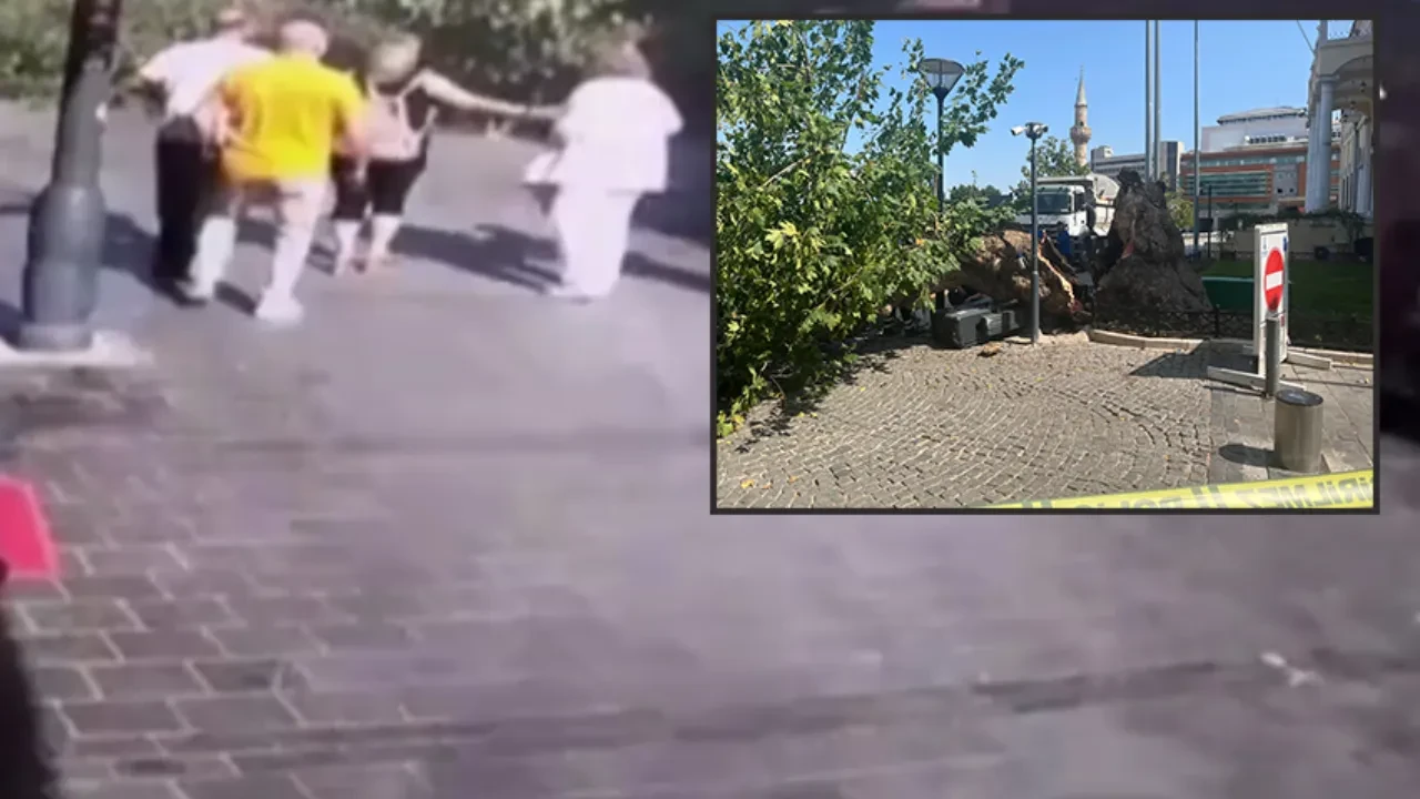 Tarihi Kemeraltı Çarşısı'nın simgesi dev çınar devrildi! O korku dolu anlar kamerada