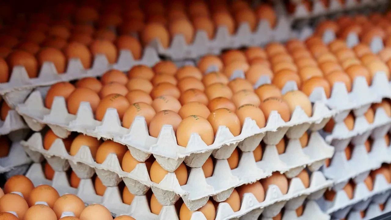 Yumurtaları sakın buzdolabında buraya koymayın! Ünlü şef uyardı: Daha çabuk bozuluyor