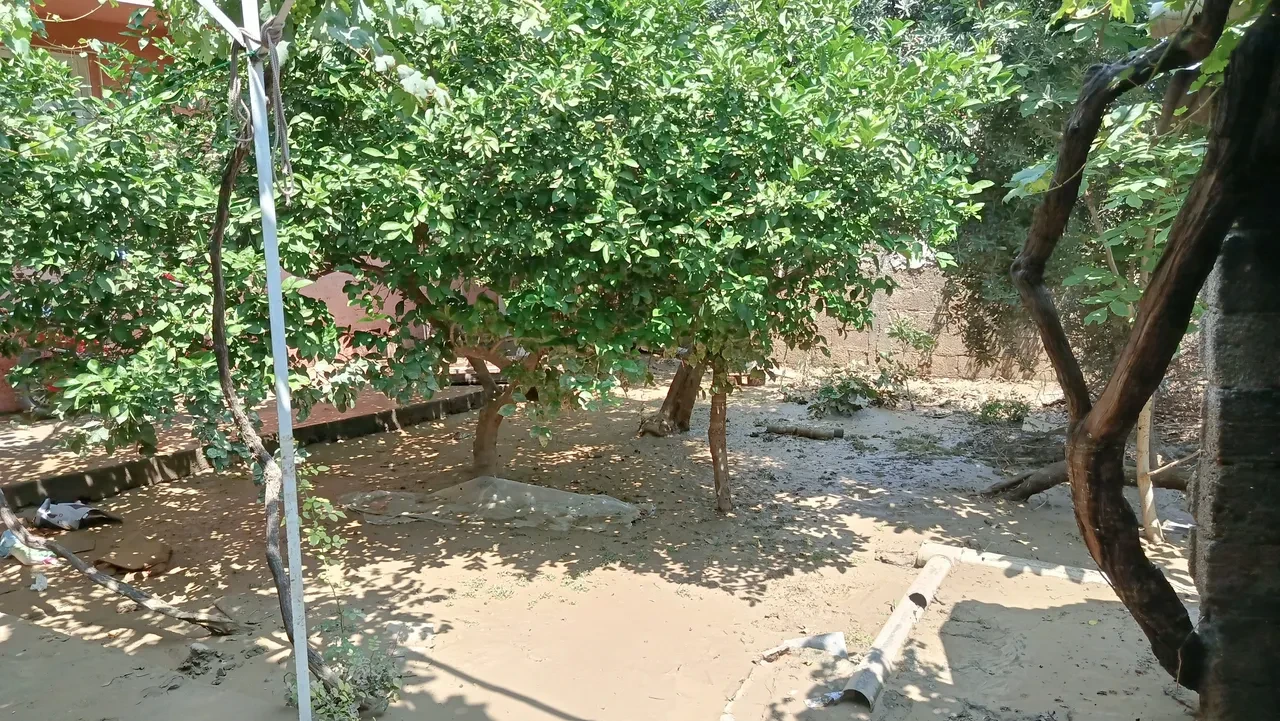 Adana'da mahalle göle döndü, 20'ye yakın ev zarar gördü