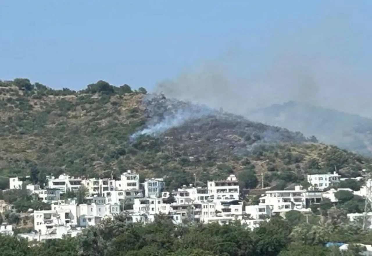 Bodrum'da korkutan yangın! Ekipler bölgede