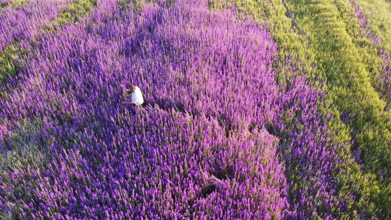 Buğday ektiği tarlada ortaya çıkan manzara mest etti: Gören dönüp bir daha bakıyor