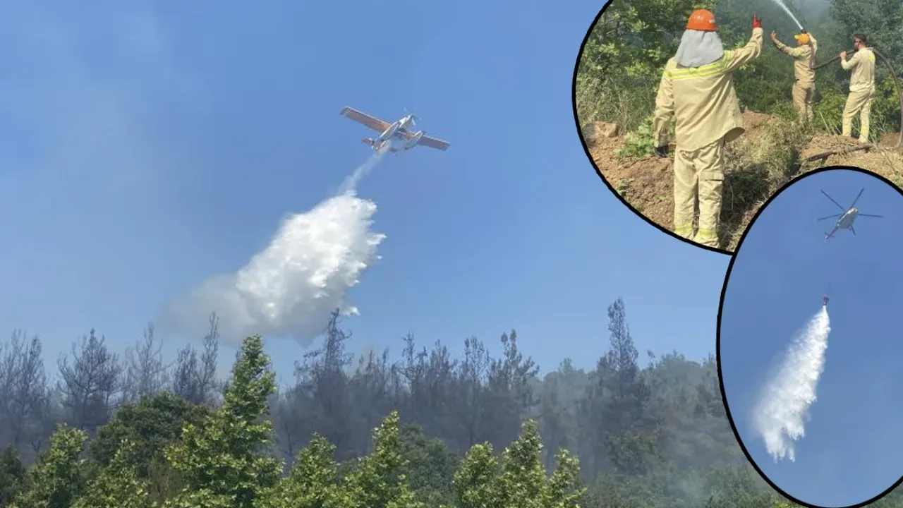Çanakkale'de korkutan orman yangını