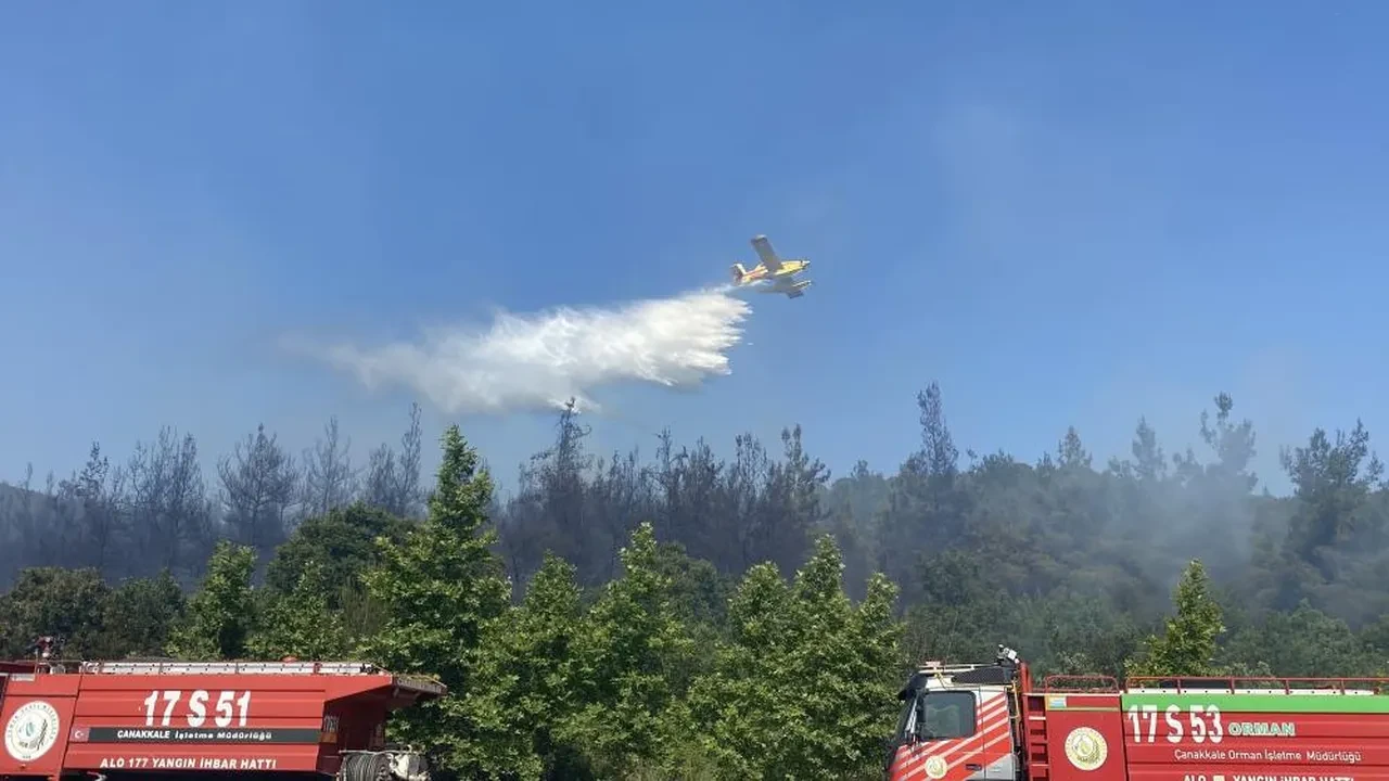 Çanakkale'de korkutan orman yangını