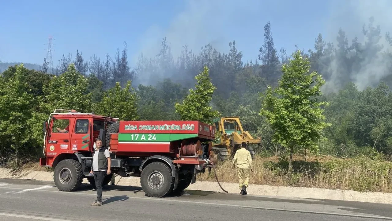 Çanakkale'de korkutan orman yangını