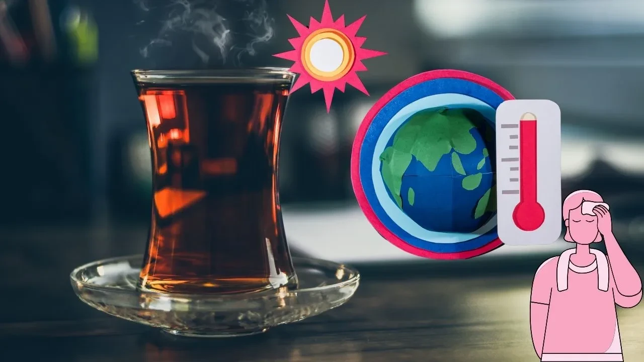 Çay harareti alır mı? Herkesin merak ettiği soruya bilimsel açıklama geldi