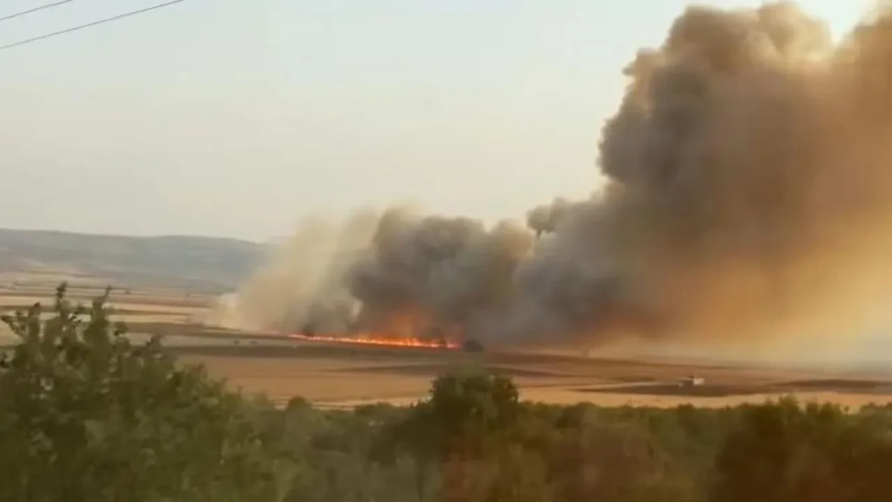 Gaziantep Araban Ovası'nda yangın! Ekili tarlalar kül oldu