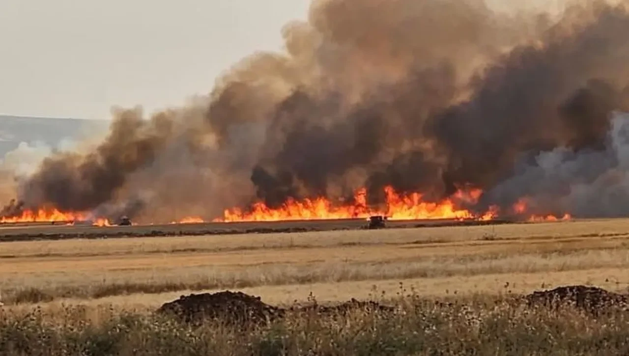 Gaziantep Araban Ovası'nda yangın! Ekili tarlalar kül oldu