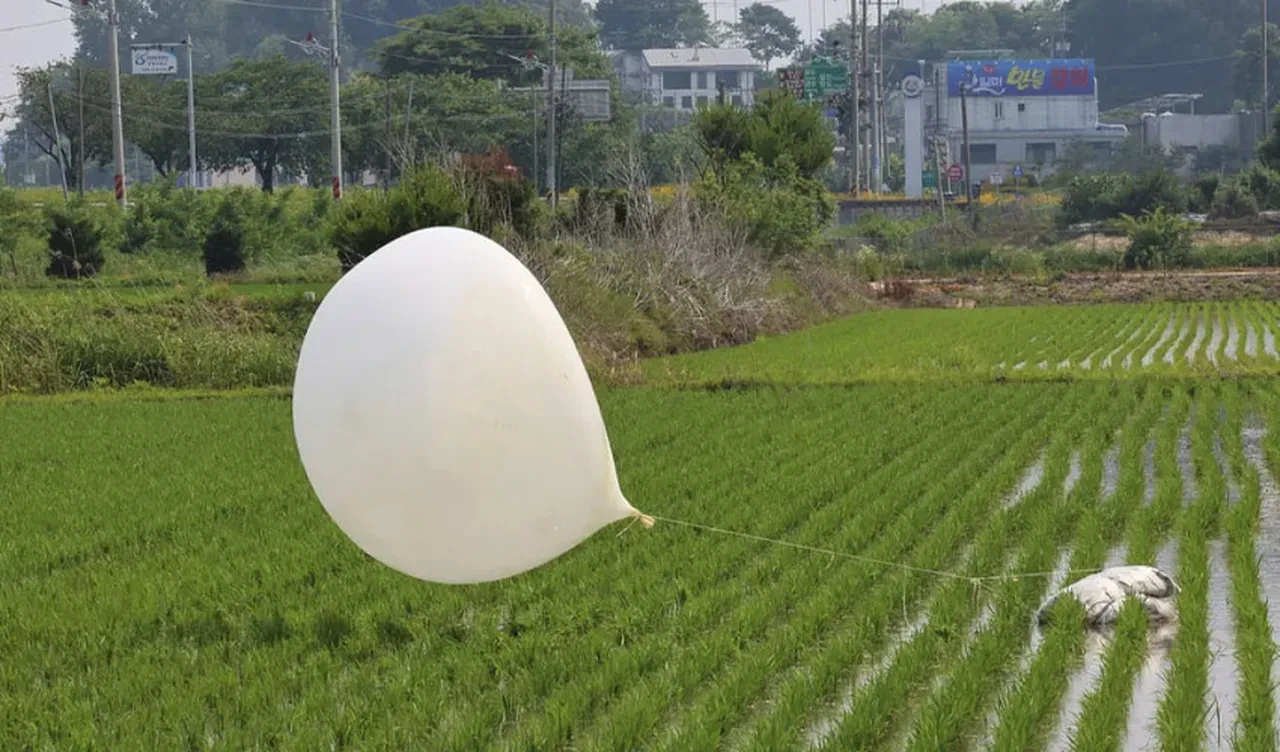 Güney Kore'den Kuzey'e zeytin dalı! Sınırdaki propaganda hoparlörleri kapatıldı
