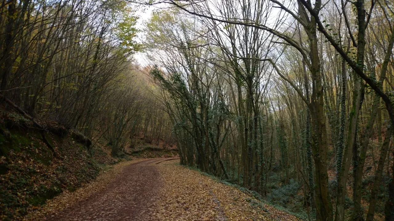 Hafta sonu için ailecek gidebileceğiniz 7 günübirlik tatil rotası! İstanbul’a yakın yerler