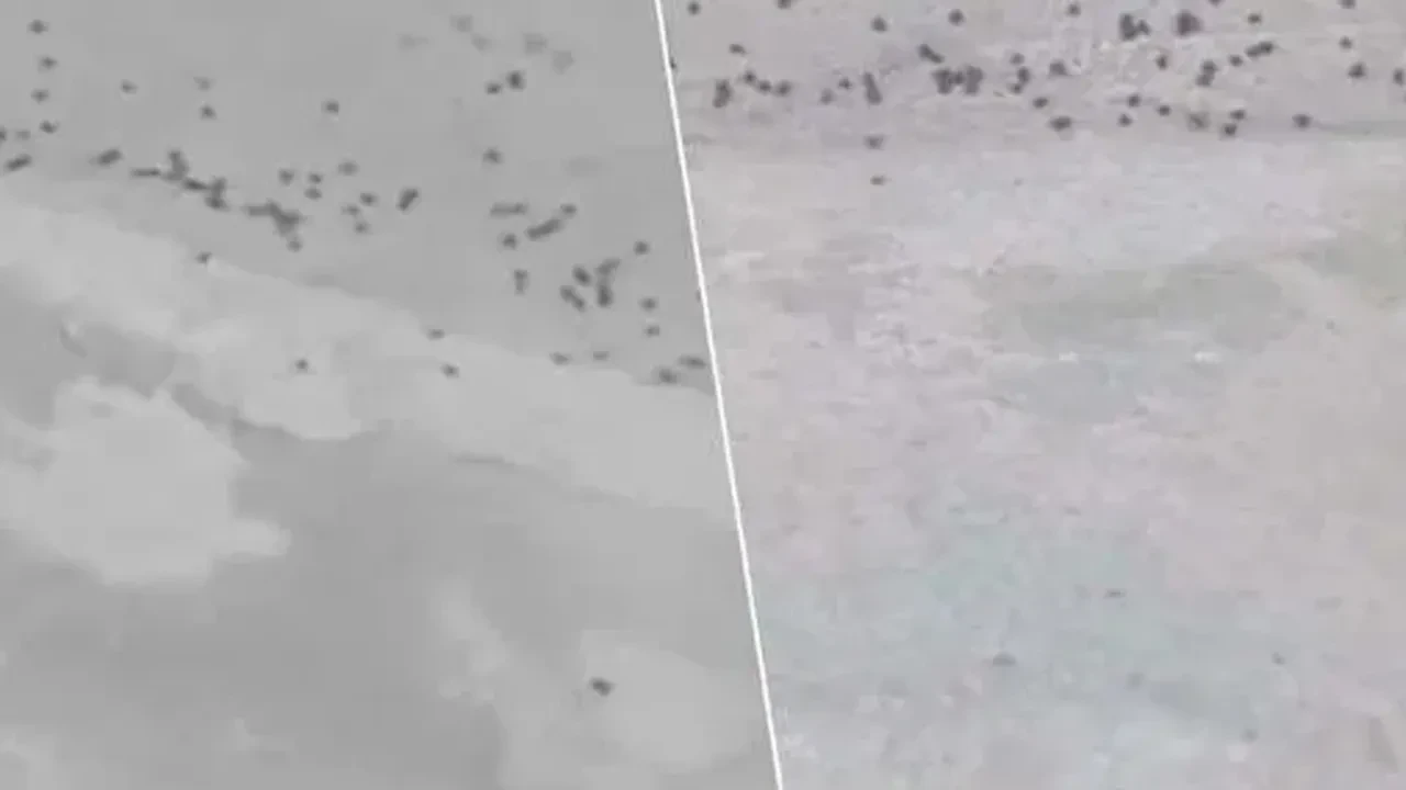 Havalar ısındı, uzmanından uyarı gecikmedi: Sürekli kontrol edilmeli