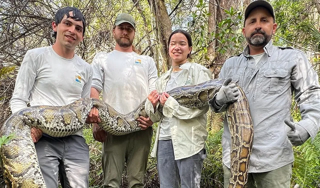 ABD'yi pitonlar sardı! Otobüs dolusu yılan öldürüldü
