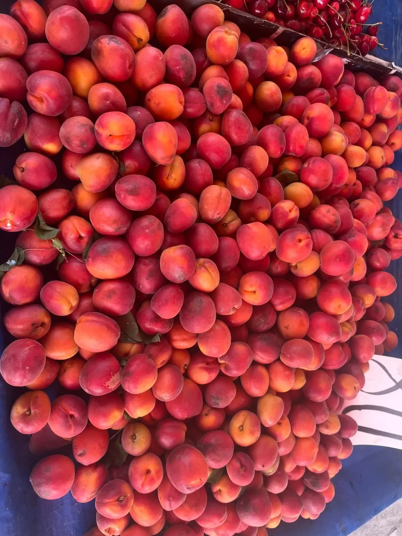 Baharda don vuran meyvelerin fiyatları dudak uçuklatıyor