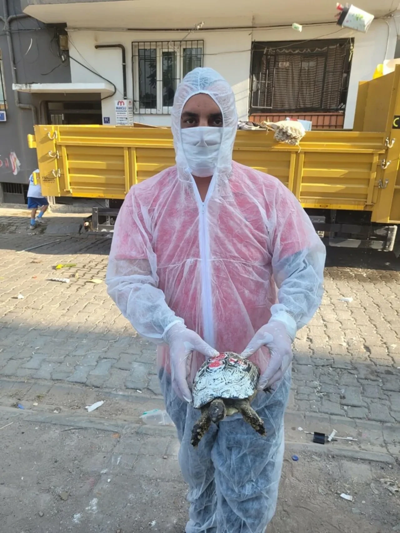 Böylesi görülmedi! Çöp evden kaplumbağa bile çıktı