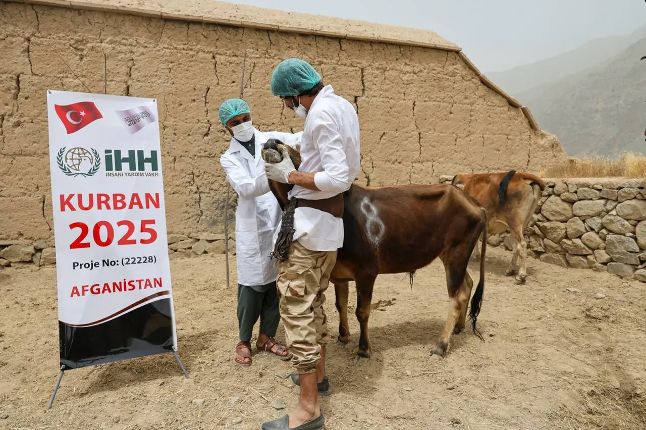 İHH, Kurban Bayramı’nda milyonlarca ihtiyaç sahibine ulaştı