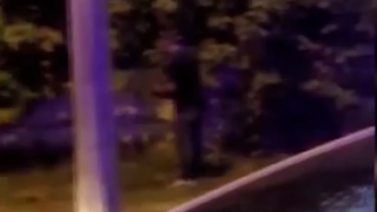 Kazada telef olan horoz için kalp masajı yaptı