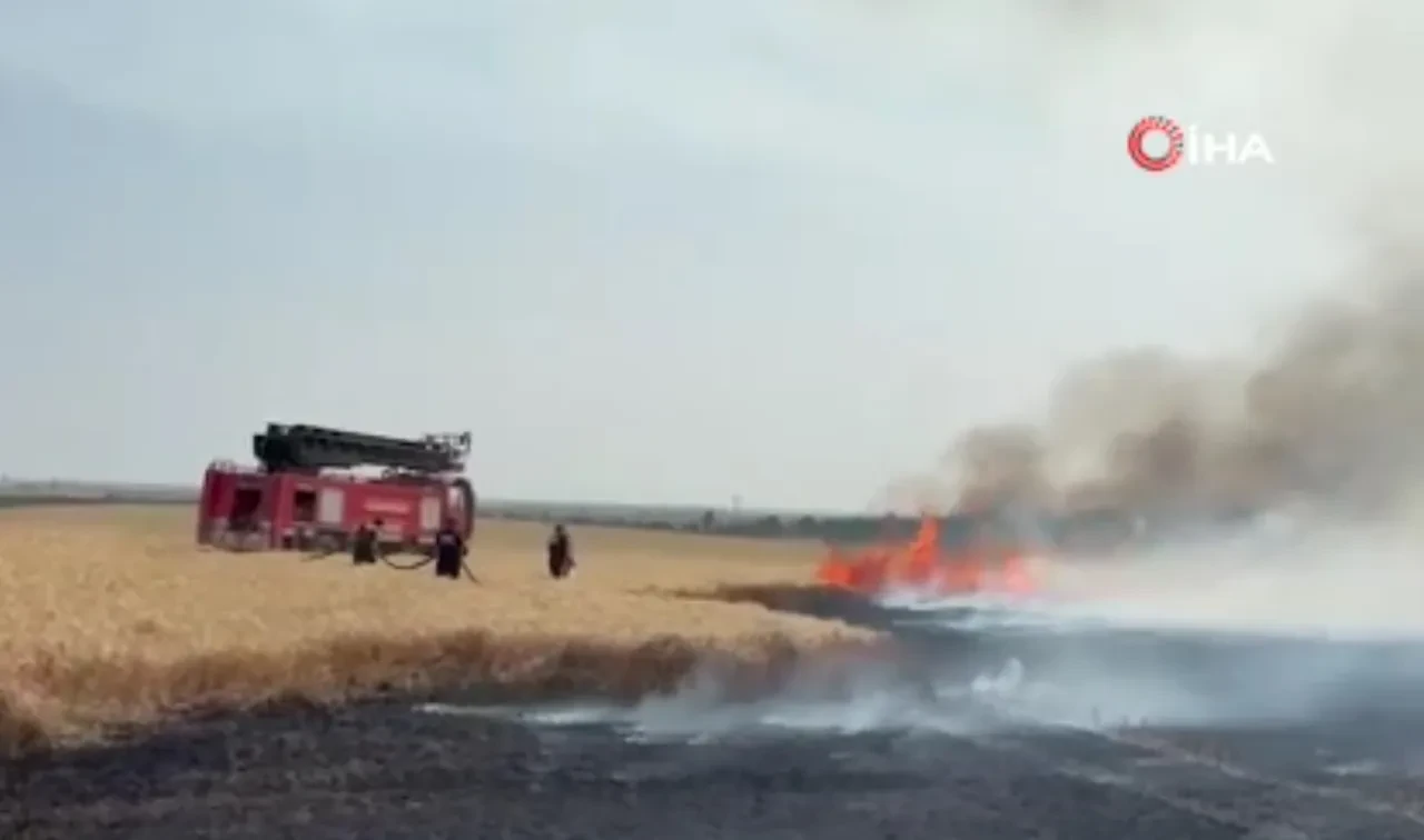 Kırklareli'nde yangın! 500 dekar alan kül oldu