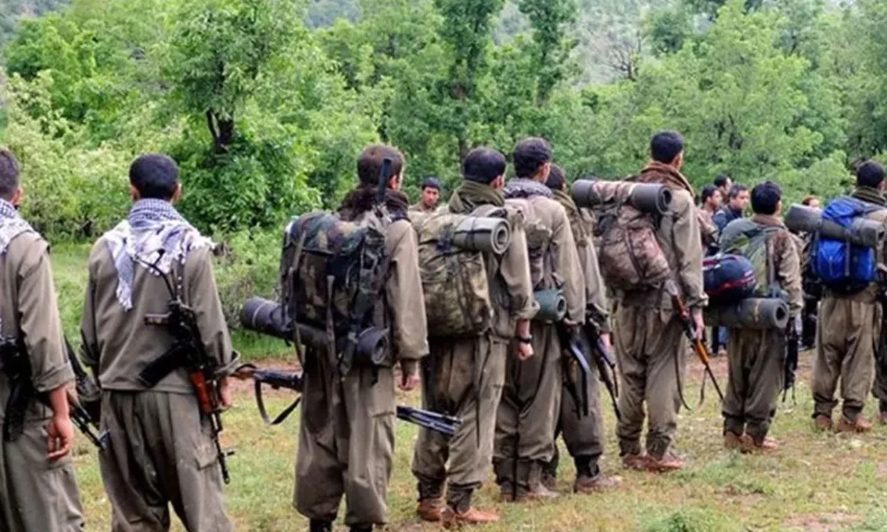 Silah bırakma kararı sonrası sahadaki son durum! MSB kaynaklarından dikkat çeken açıklama