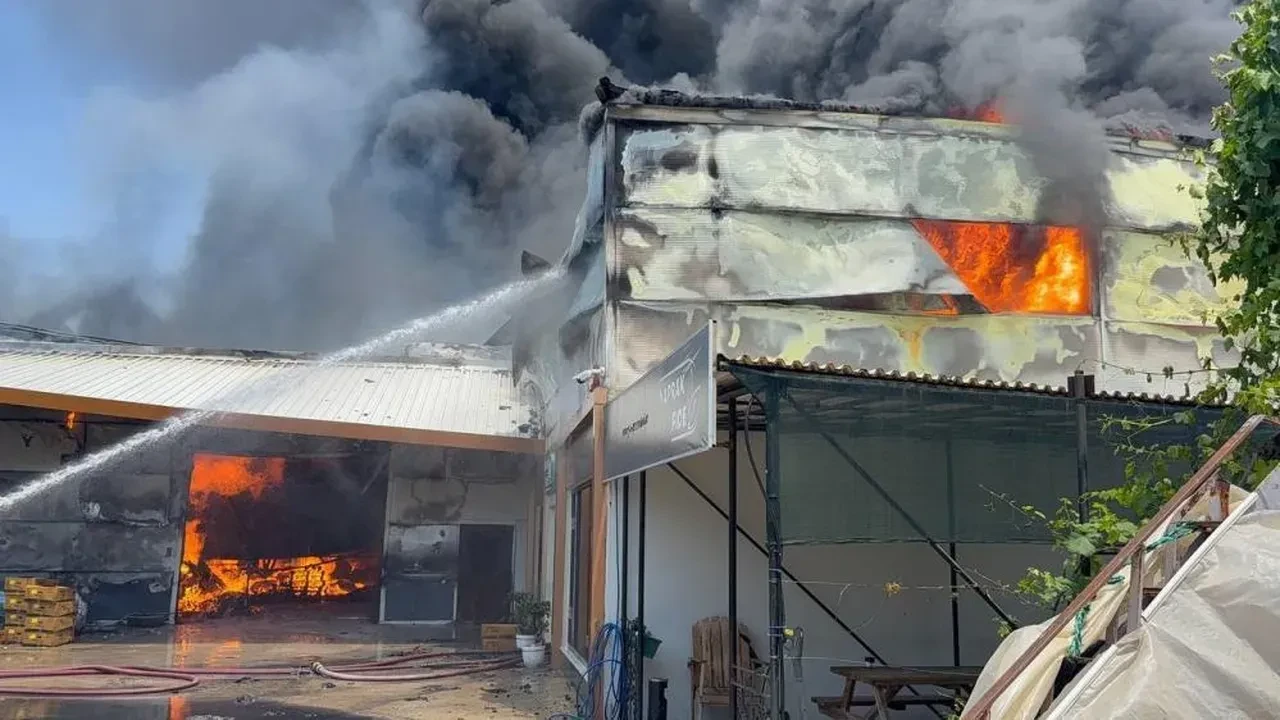 Antalya'da korkunç yangın! Ekipler seferber oldu