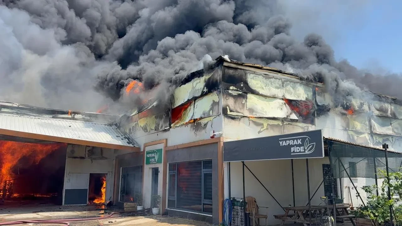 Antalya'da korkunç yangın! Ekipler seferber oldu