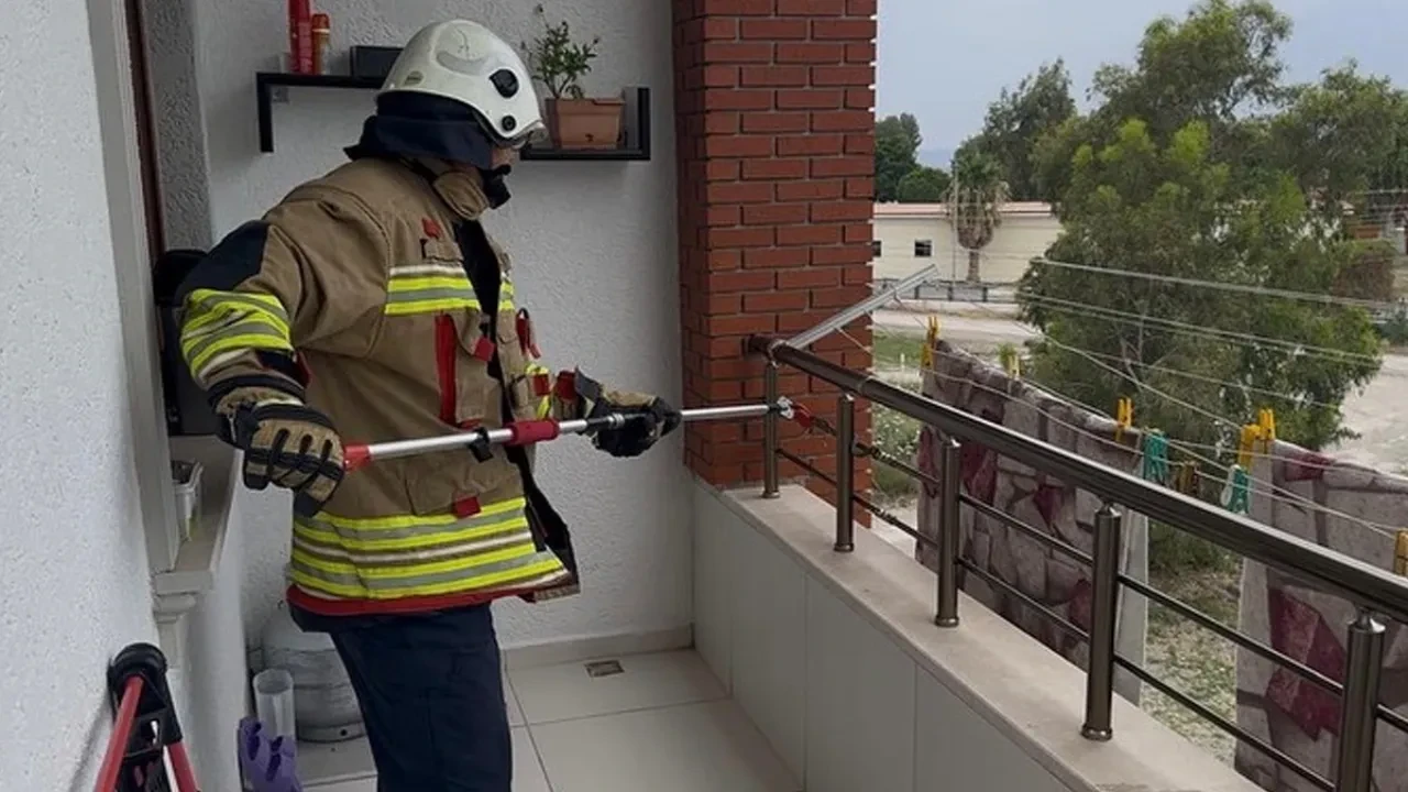 Havalar ısınınca ortaya çıkmaya başladılar! Evin balkonunda yılan paniği