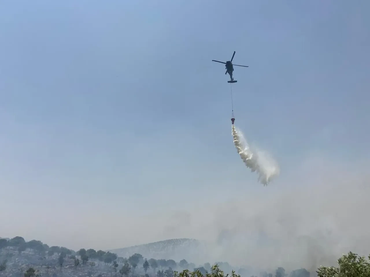 Mardin'de orman yangını! Hem ekipler hem de vatandaşlar seferber oldu