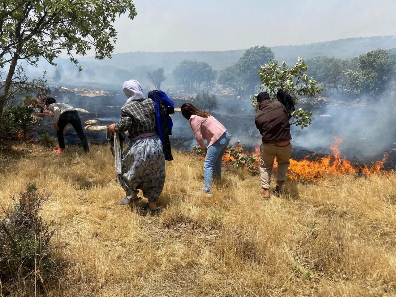 Mardin'de orman yangını! Hem ekipler hem de vatandaşlar seferber oldu