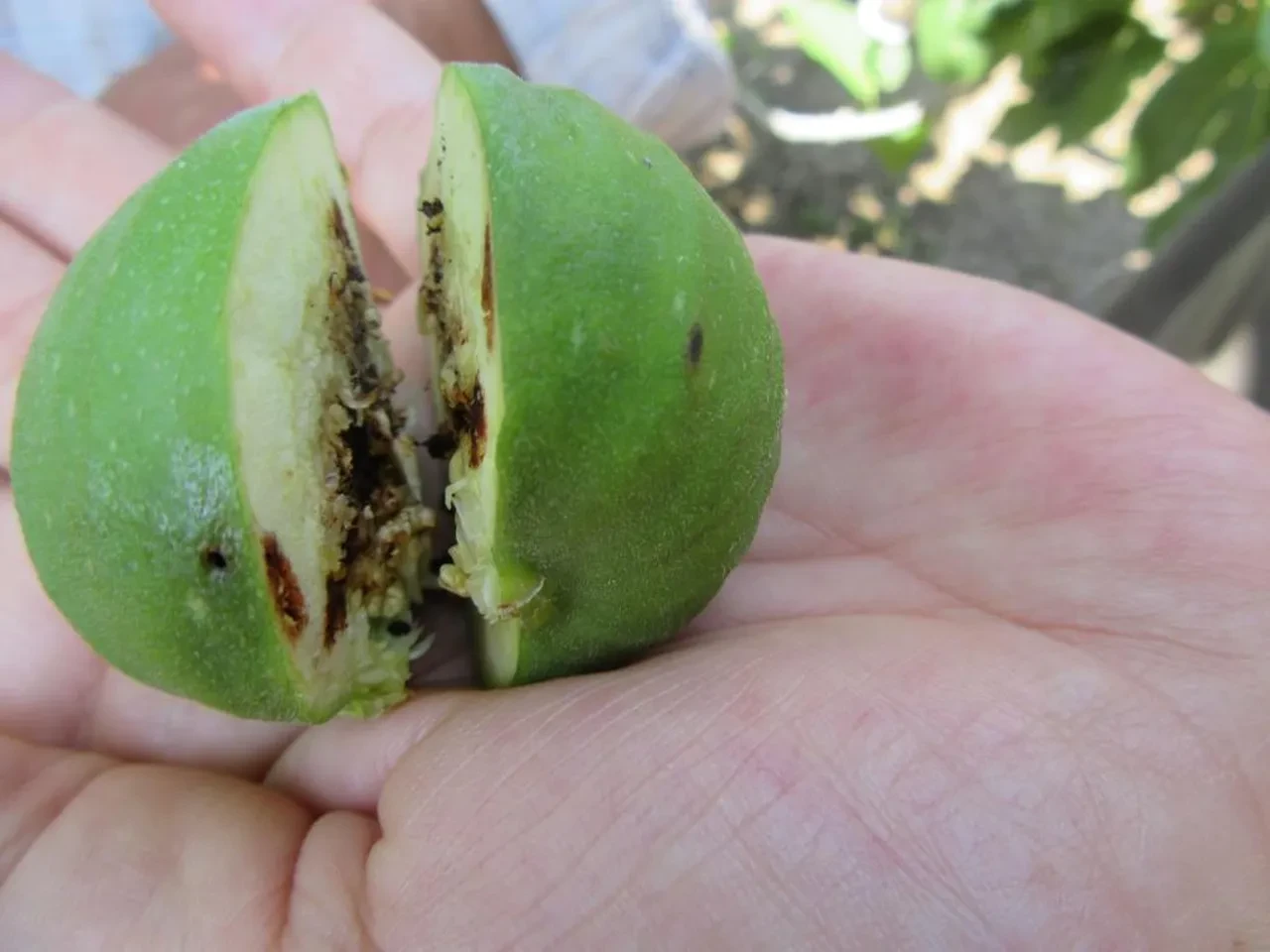 Yetkililerden üreticilere kritik uyarı!