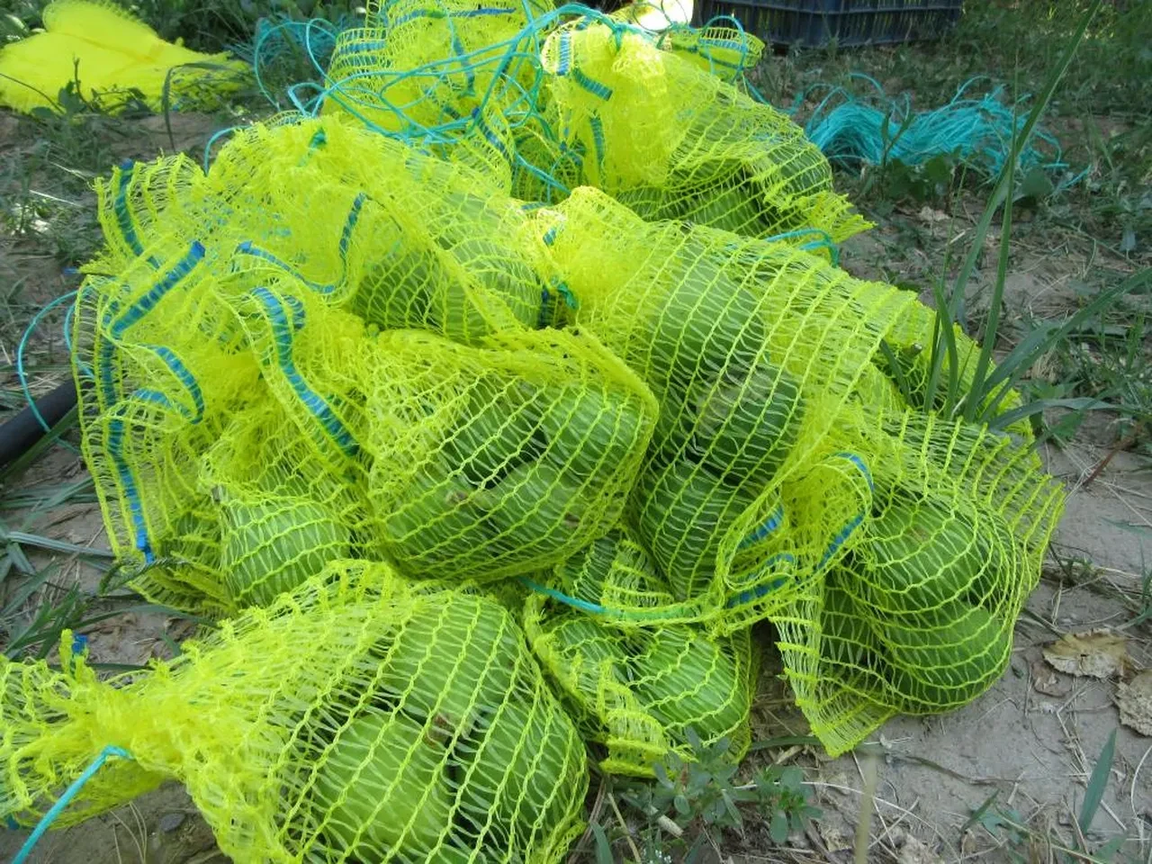 Yetkililerden üreticilere kritik uyarı!