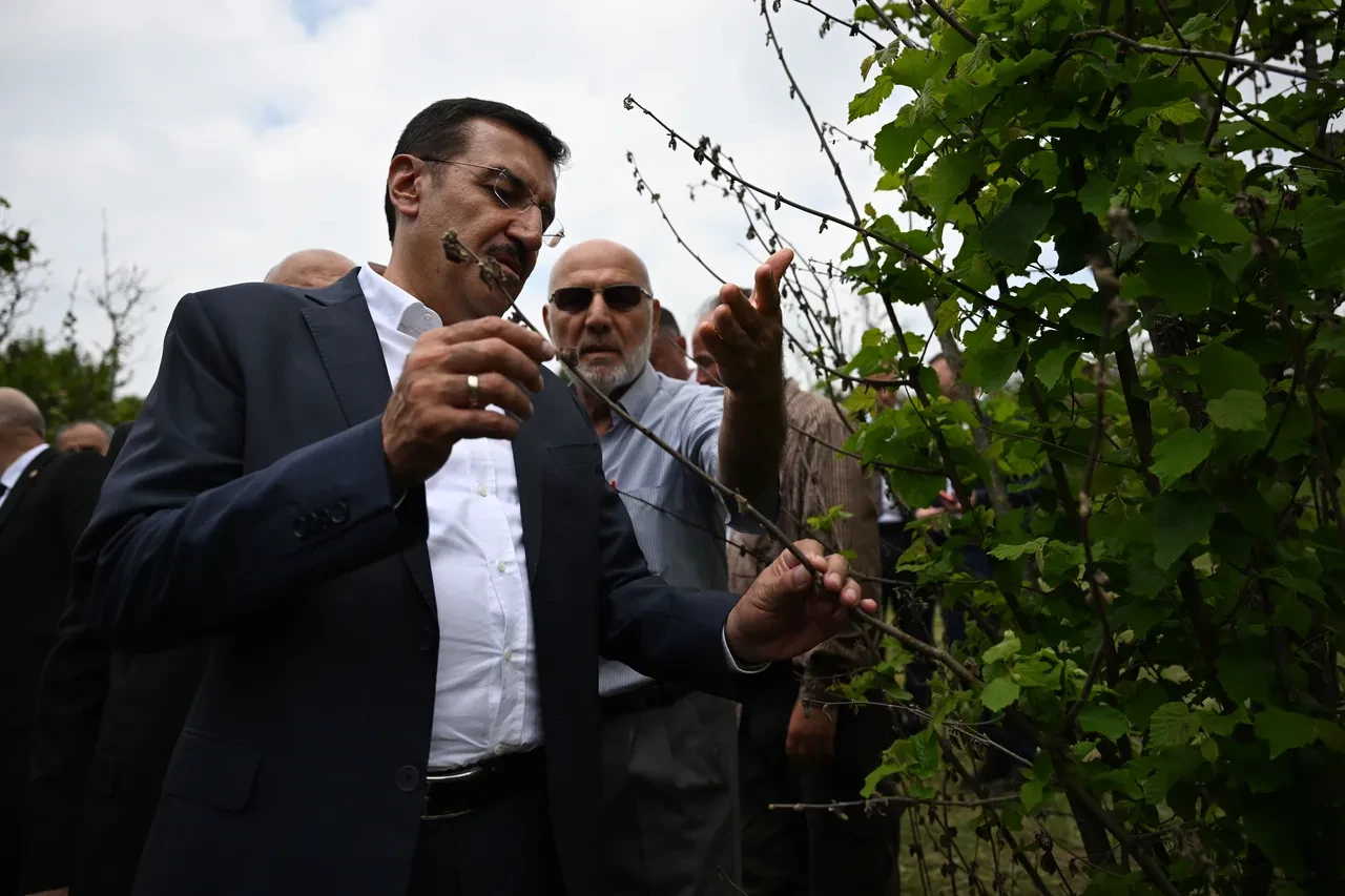 Zirai don felaketi: Üç üründe durum ciddi, hasar yüzde 100!