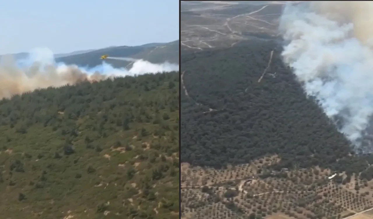 İzmir'de orman yangını! Havadan ve karadan müdahale ediliyor