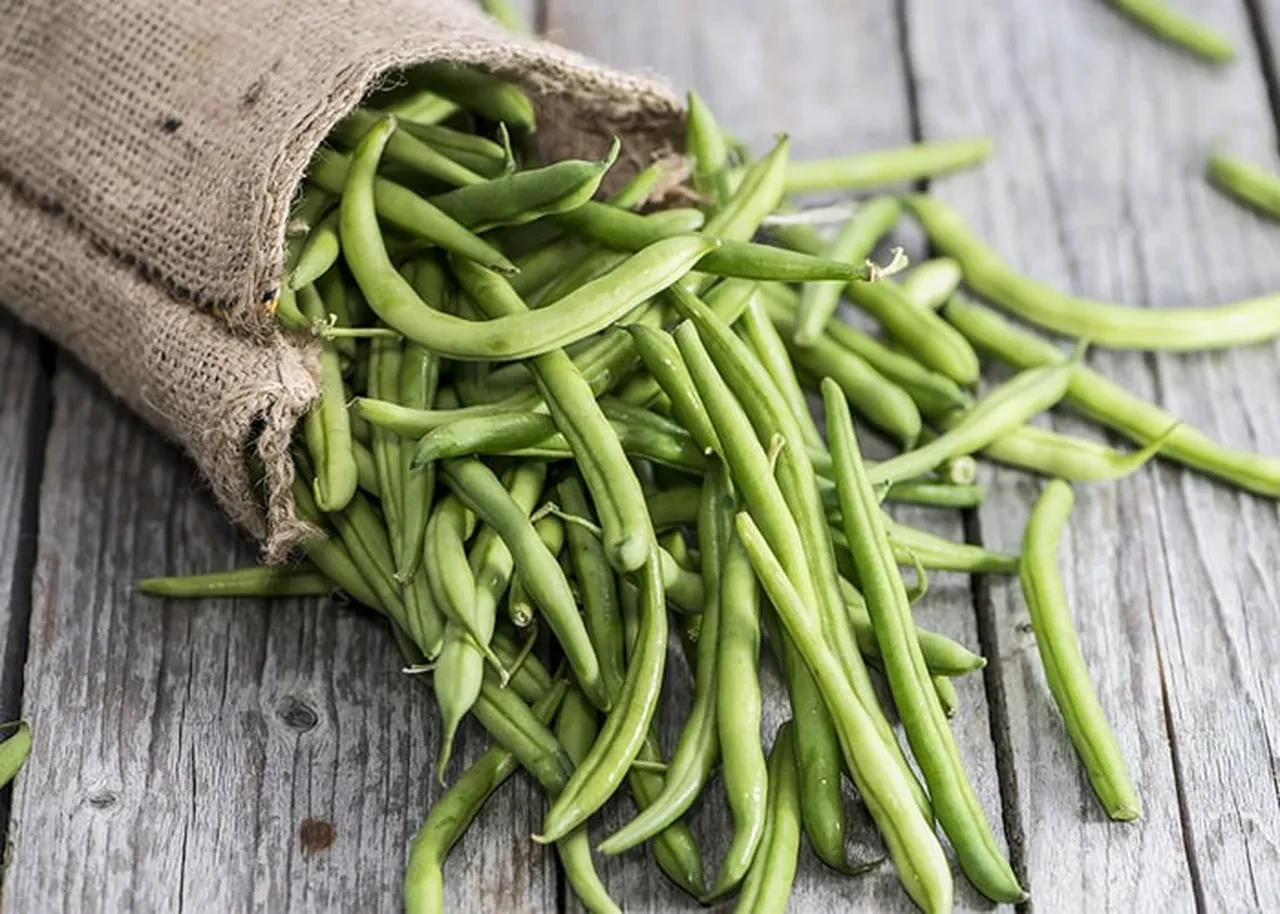 Taze Fasulye Buzluğa Nasıl Atılır? Dolapta ve Buzlukta Taze Fasulye Saklama Yöntemleri