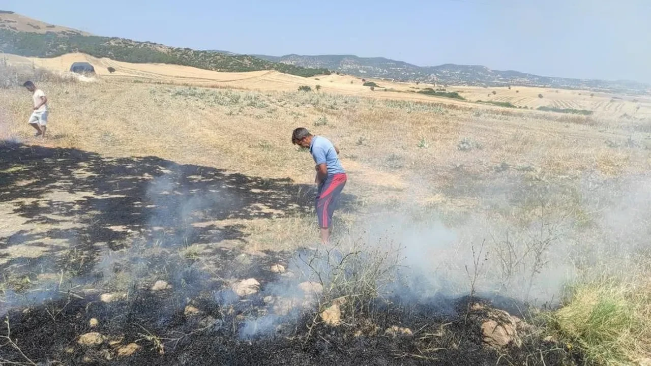 Trafoya kuş çarptı, alevler kısa sürede söndürüldü