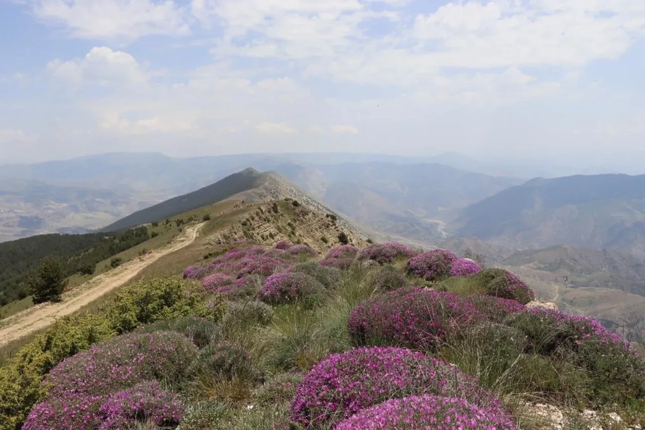 Akdağ'ın zirvesinde muhteşem görsel şölen