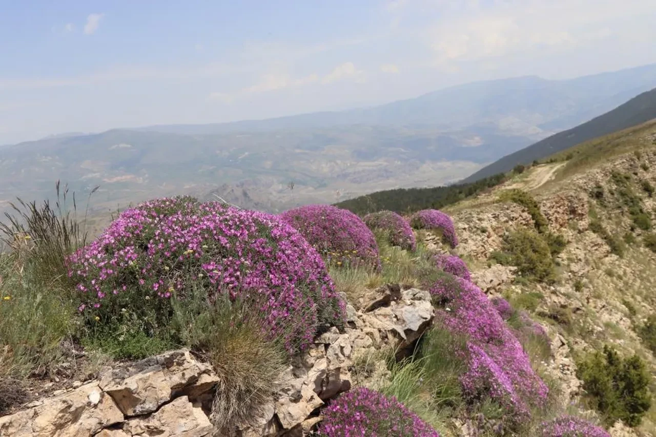 Akdağ'ın zirvesinde muhteşem görsel şölen