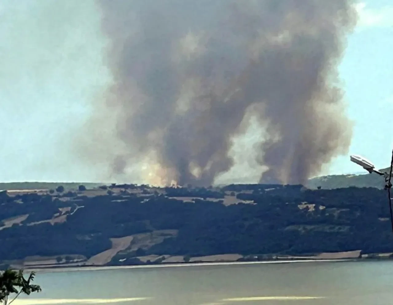Aydın, Edirne ve Manisa'da orman yangını! Ekipler seferber oldu